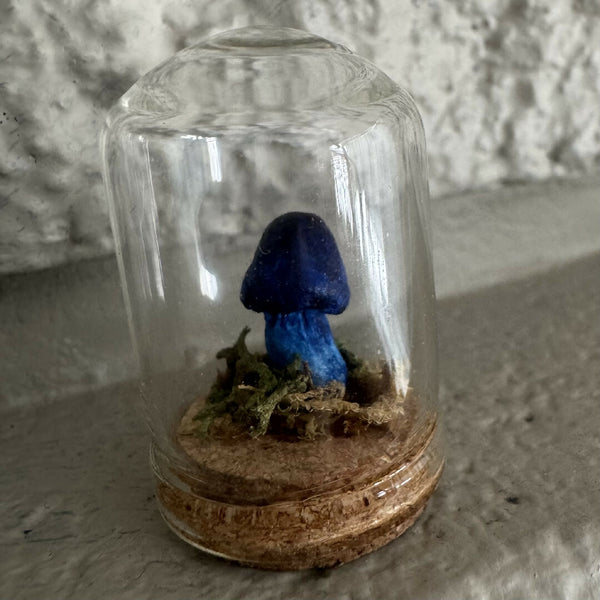 Lil’ Terrarium - Lil’ Blue (small)
