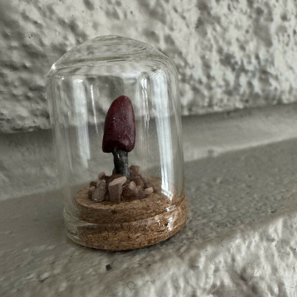 Tiny Lil' Terrarium