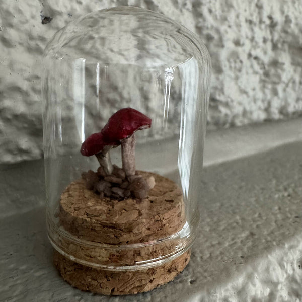 Lil’ Terrarium - Twinsies (medium)