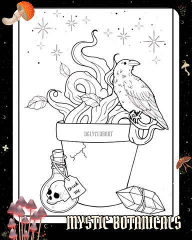 Journal anti-anxiété format voyage : Mystic Botanicals