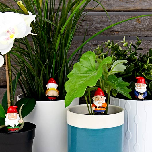 NAUGHTY GNOMES PLANTER NOVELTY