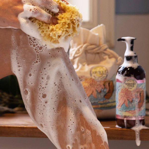 Coconut Kiss | Cleansing Hand & Body Wash