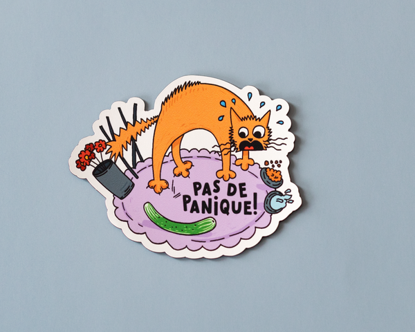 Pas de Panique Vinyl Sticker