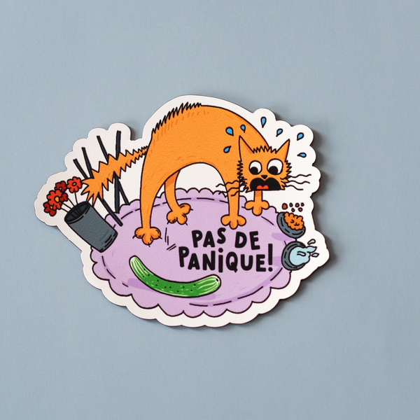 Pas de Panique Vinyl Sticker
