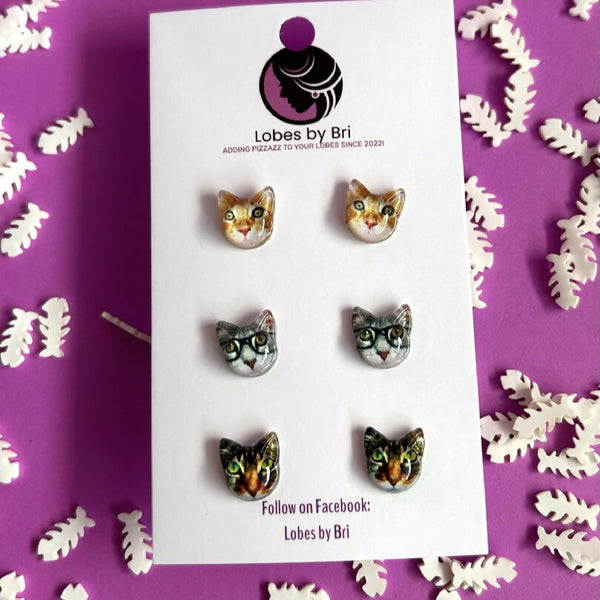 It's Meow or Never - Cat Head 3 Pack - Tabbies