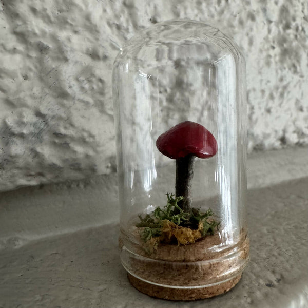Lil’ Terrarium - Diminutive Dan(medium)