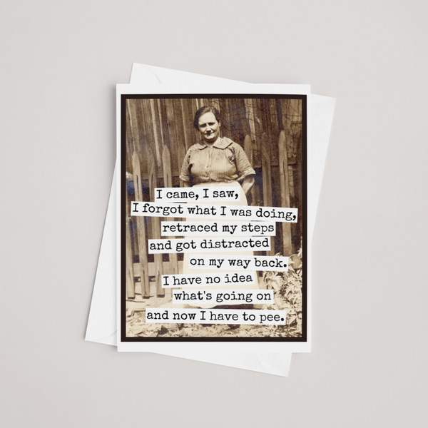 Funny Greeting Card. I Came, I Saw, I Forgot What I Was Doin