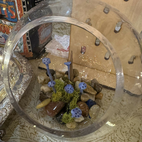 Large terrarium