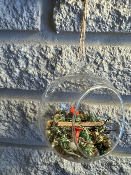 Glass bulb mushroom diorama red