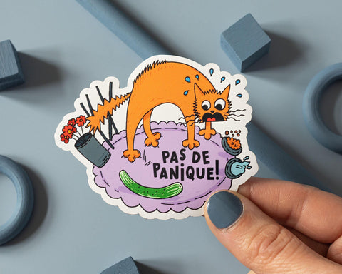 Pas de Panique Vinyl Sticker