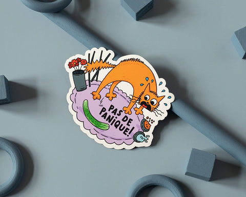 Pas de Panique Vinyl Sticker