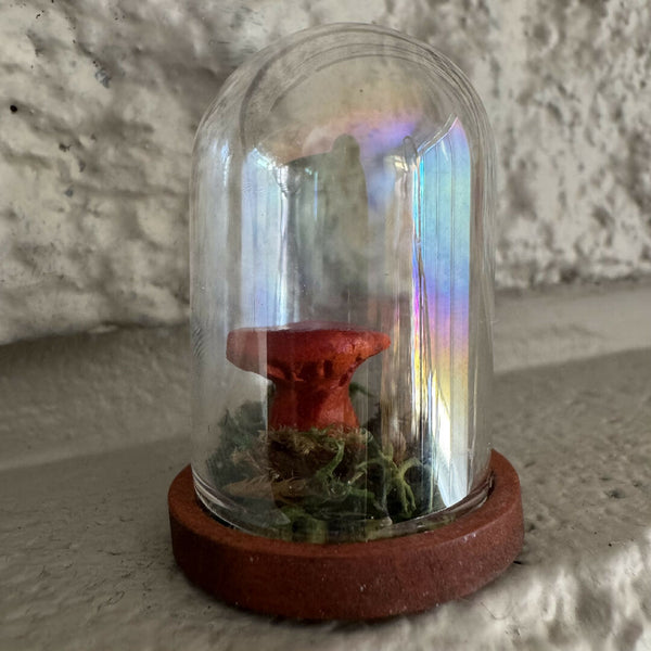 Lil’ Terrarium - Micro Mike (medium)