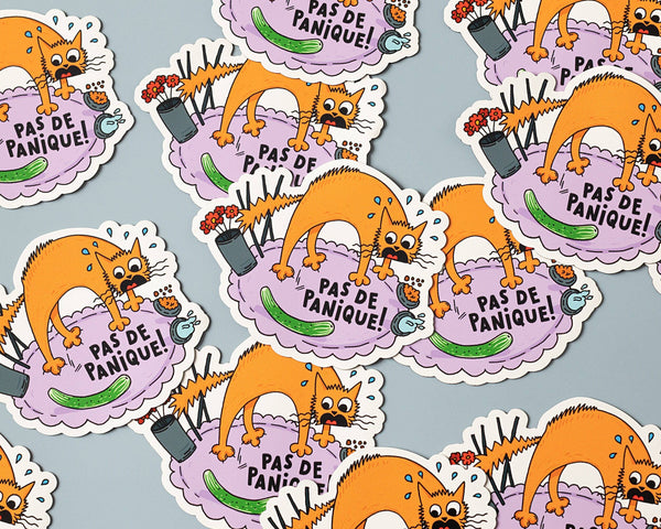 Pas de Panique Vinyl Sticker