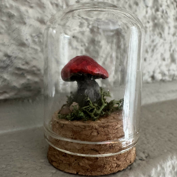 Lil’ Terrarium - Darling Diane (medium)