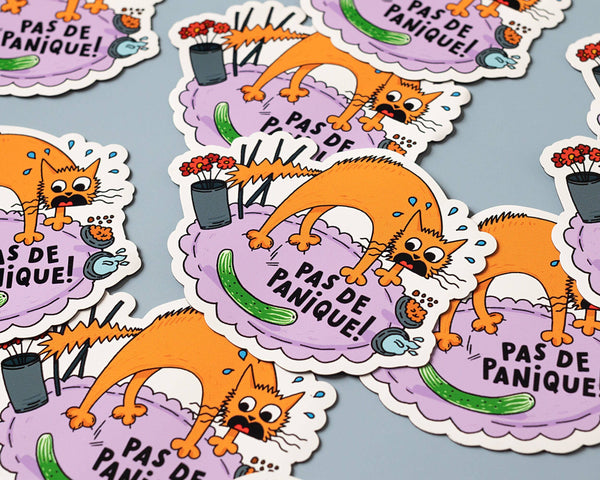 Pas de Panique Vinyl Sticker