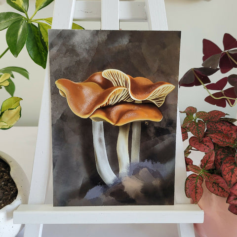 Fungi-1