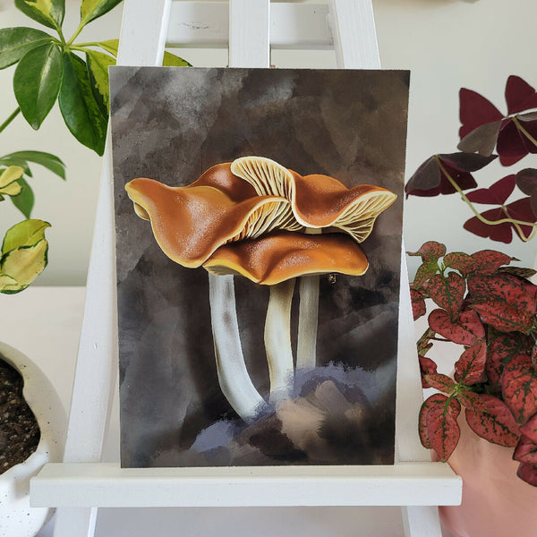 Fungi-1