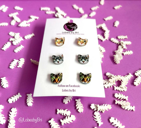It's Meow or Never - Cat Head 3 Pack - Tabbies