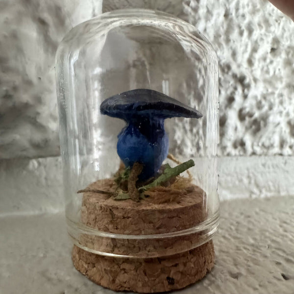 Lil’ Terrarium - Stocky Steve (medium)