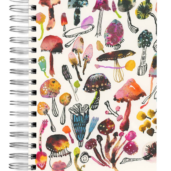 Journal des champignons