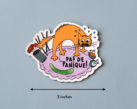 Pas de Panique Vinyl Sticker