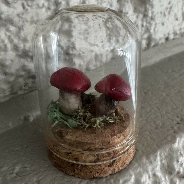 Lil’ Terrarium - Teeny Twins (medium)