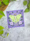 luna moth 8x8 