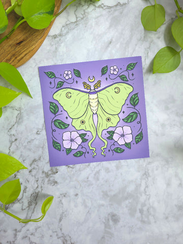 luna moth 8x8