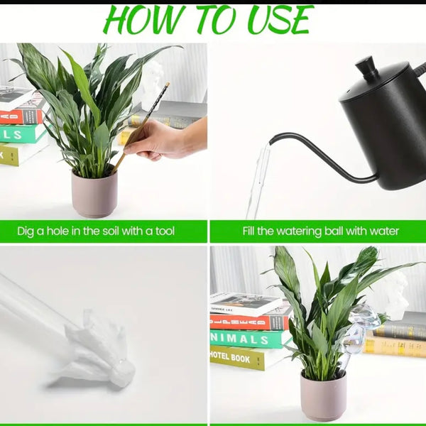 Glass Mushroom Watering Tube