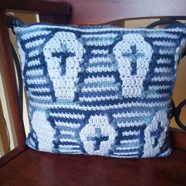 Skull and coffin pillow