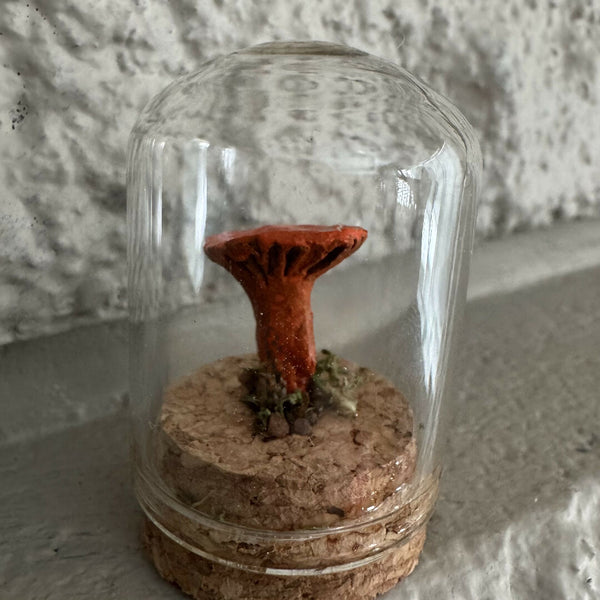 Wee Lil' Terrarium