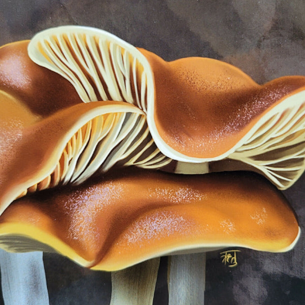 Shrooms Print