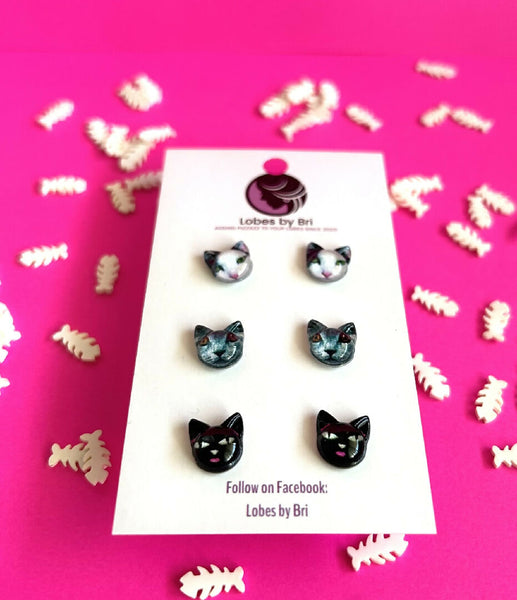 It's Meow or Never - Cat Head 3 Pack - White, Grey, Black