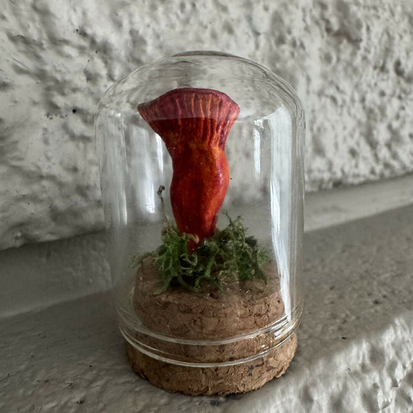 Lil’ Terrarium - Bitty Betty (medium)