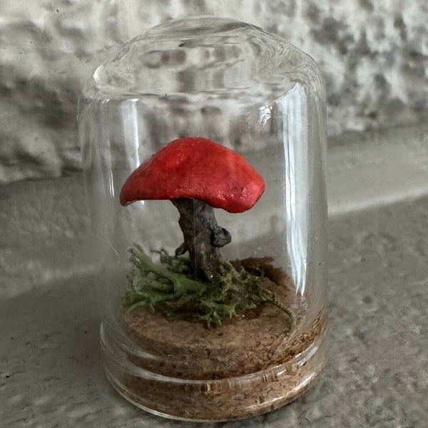 Lil’ Terrarium - Teeny Tiny (small)