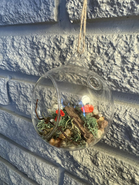 Glass bulb mushroom diorama red