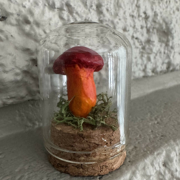 Lil' Terrarium