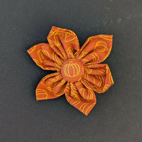 Pumpkin Collar Daisies