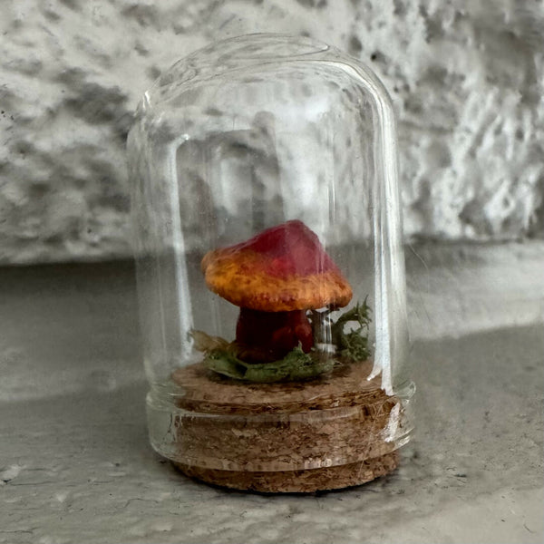 Lil’ Terrarium - Sweet Sam (small)