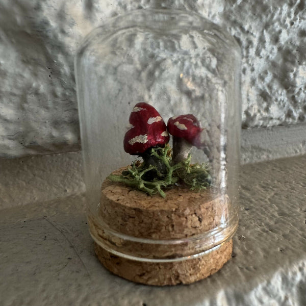 Lil’ Terrarium - Little Ones (medium)