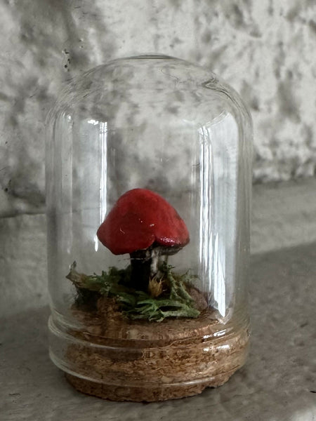 Lil’ Terrarium - Small Sara (small)