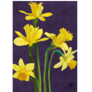 Daffodil Card 