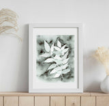 A Collection of Botanicals - Original Watercolour Paintings - Shop Motif 
