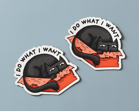 I Do What I Want Vinyl Sticker