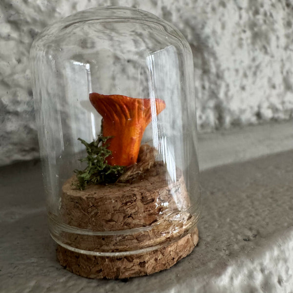 Lil’ Terrarium - Mini Mimi (medium)
