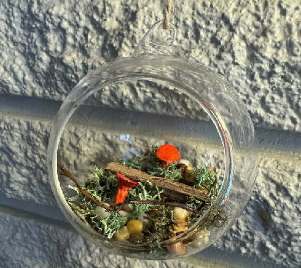 Glass bulb mushroom diorama red