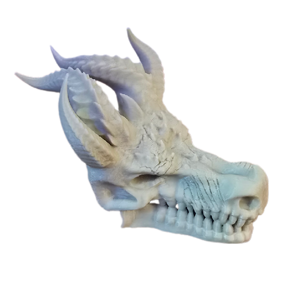 Mini Dragon Skull Decor