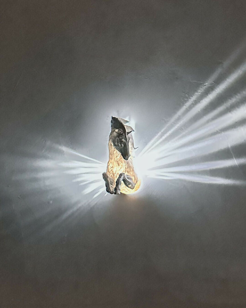 Pegasus_Wall_Light_7_e5ff7c88de