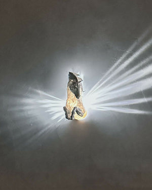 Pegasus_Wall_Light_7_e5ff7c88de 