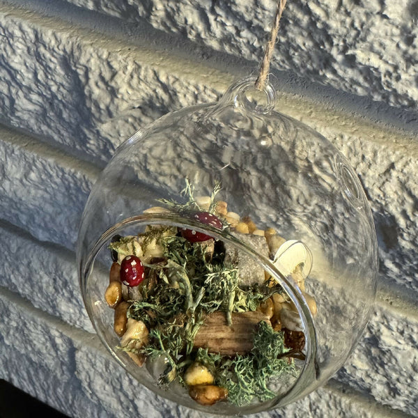 Glass bulb mushroom diorama red spotted driftwood